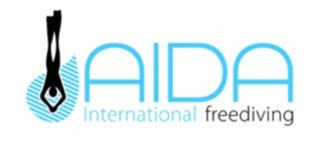 A.I.D.A. International Logo